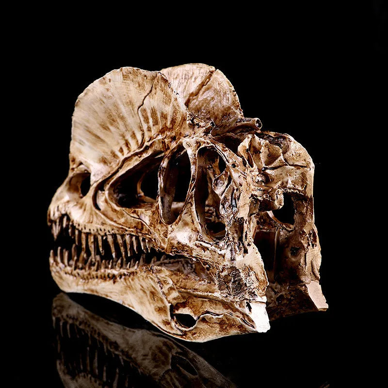 Resin Dinosaur Skull Skeleton Head Figurine