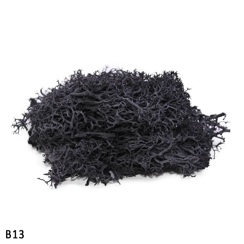 47245508837671|47245508870439