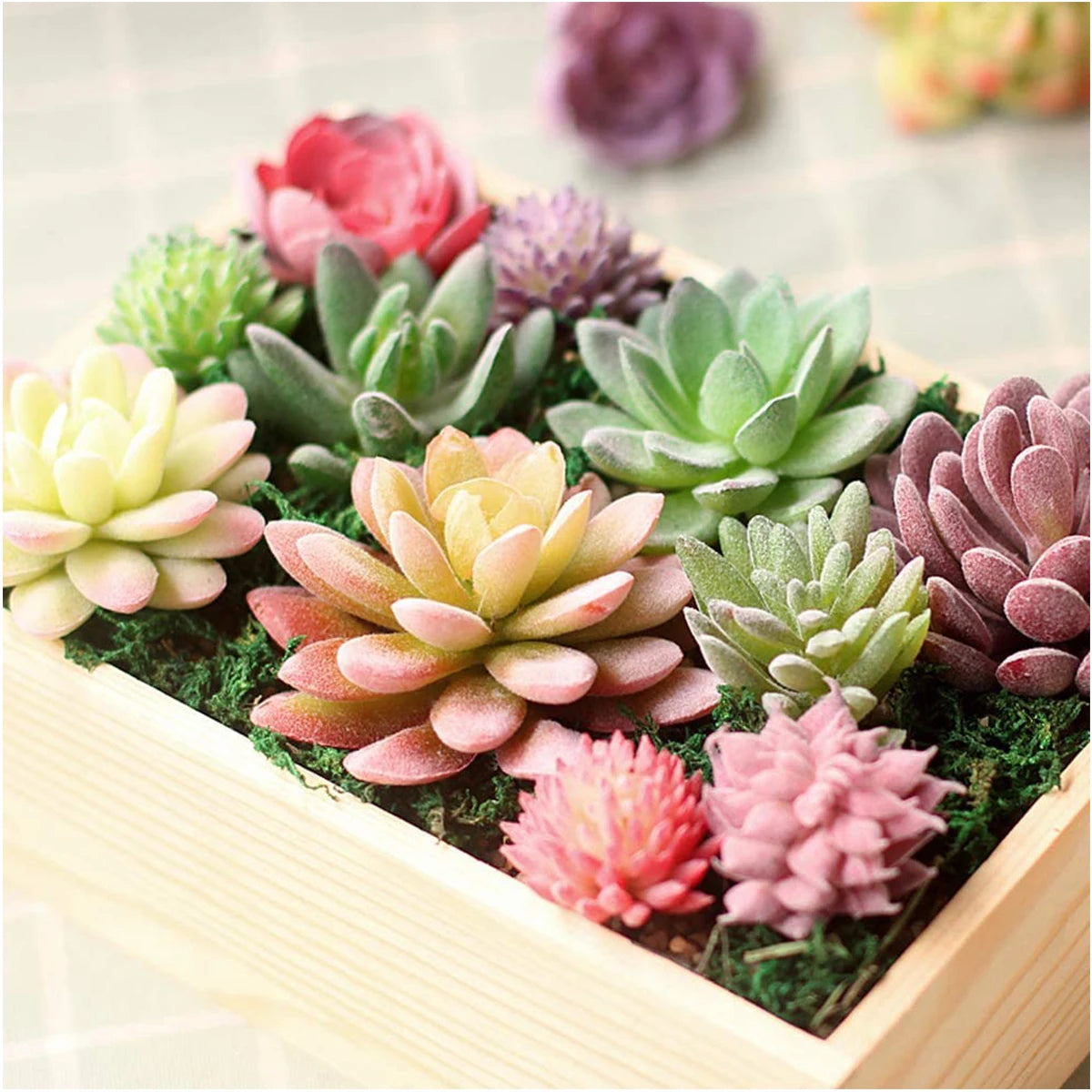 16 pcs Artificial Succulent Unpotted Flocking Plants