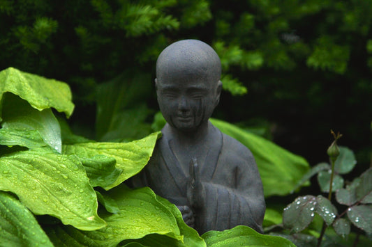 The Zen Way of Creating an Artificial Outdoor Plant Sanctuary