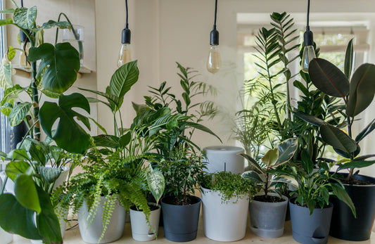 Choosing the Right Large Artificial Plants for Your Space