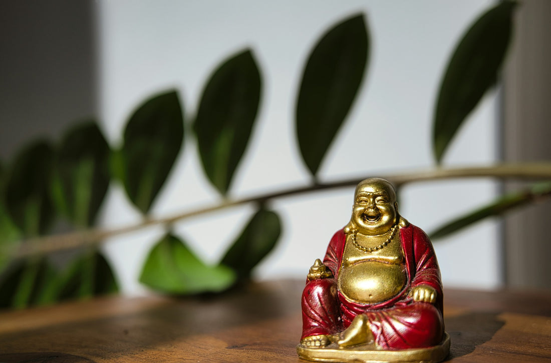 13 Types of Buddha Statues That Are Good for Your Home