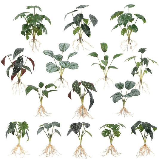 Artificial Green Plants for Home and Office