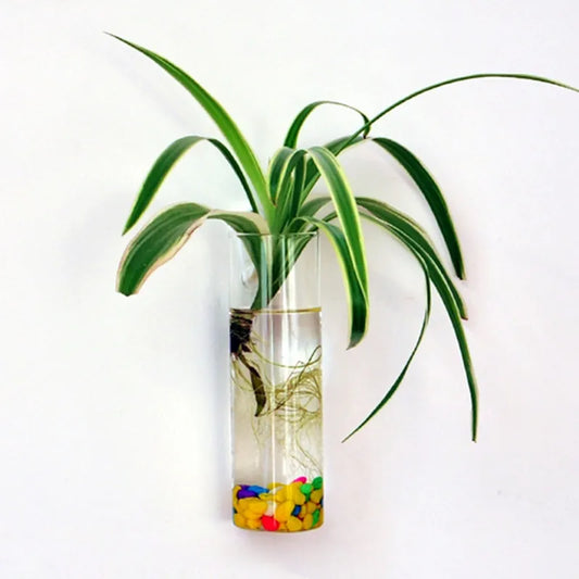 Wall Hanging Glass Flower Planter Vase