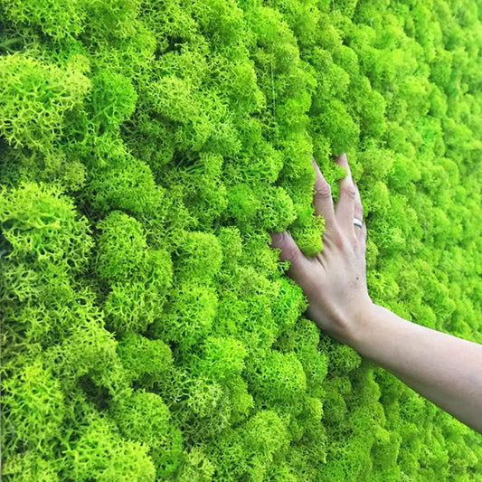 Eternal Artificial Green Plant Moss