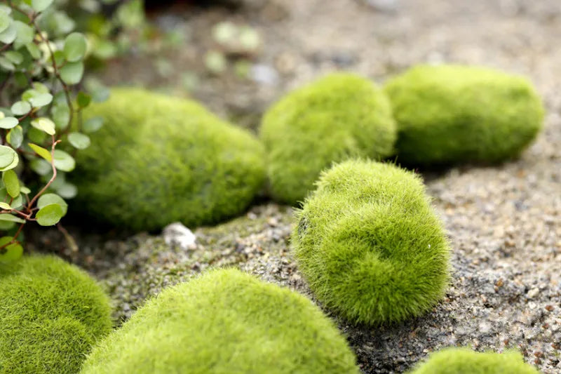 Artificial Moss Foam Stones