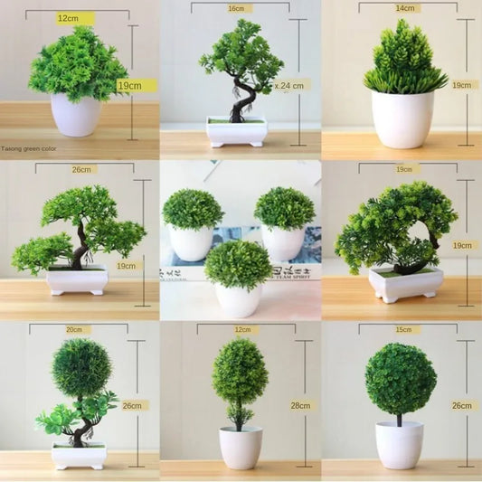 Small Tree Pot Bonsai Plants
