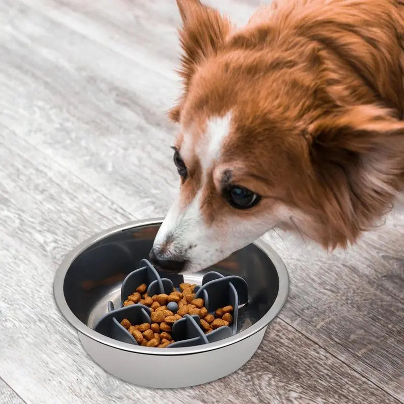 Silicone Slow Feeder for Dogs