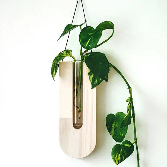 5 Styles Wall Hanging Rope Flower Hydroponic Plant Rack