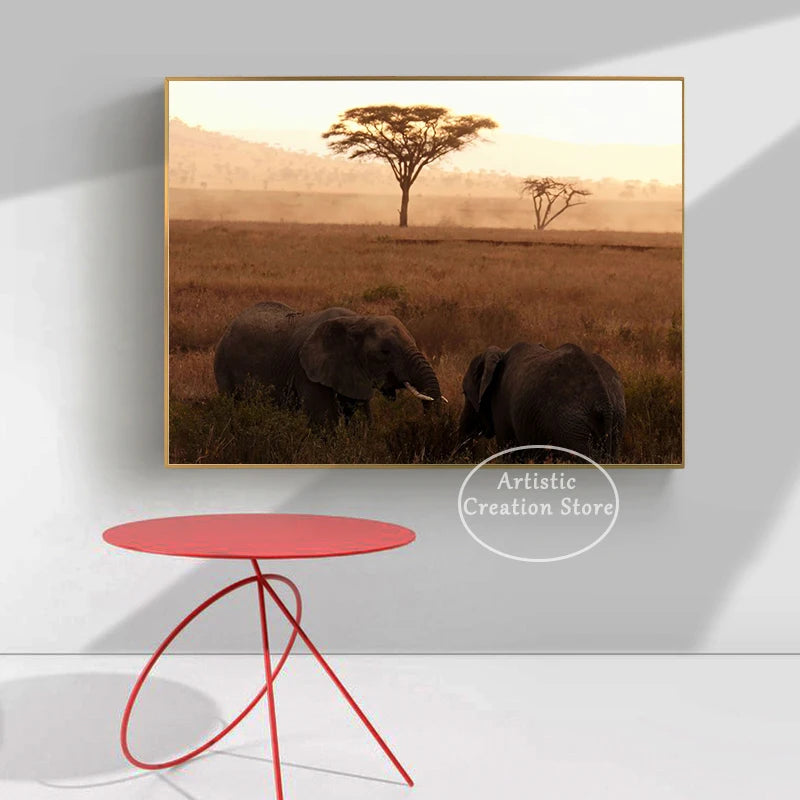 African Savannah Scenery and Sunset Posters