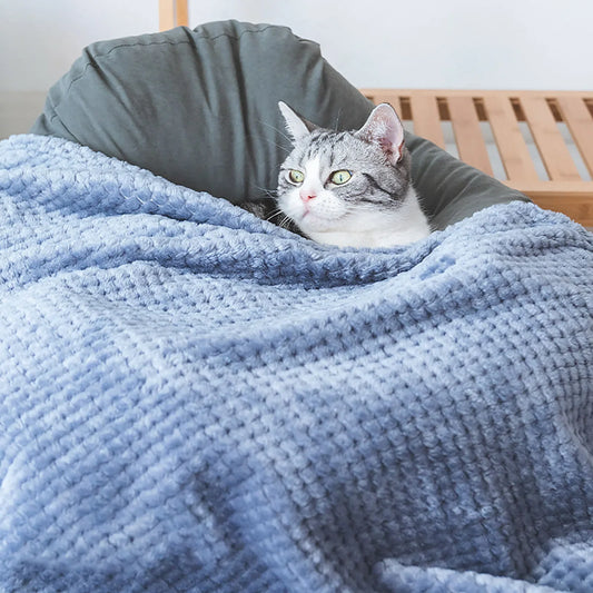Solid Colored Soft Pet Blanket
