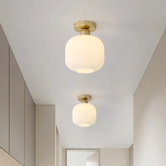 Modern LED Ceiling Light Chandelier Lamp