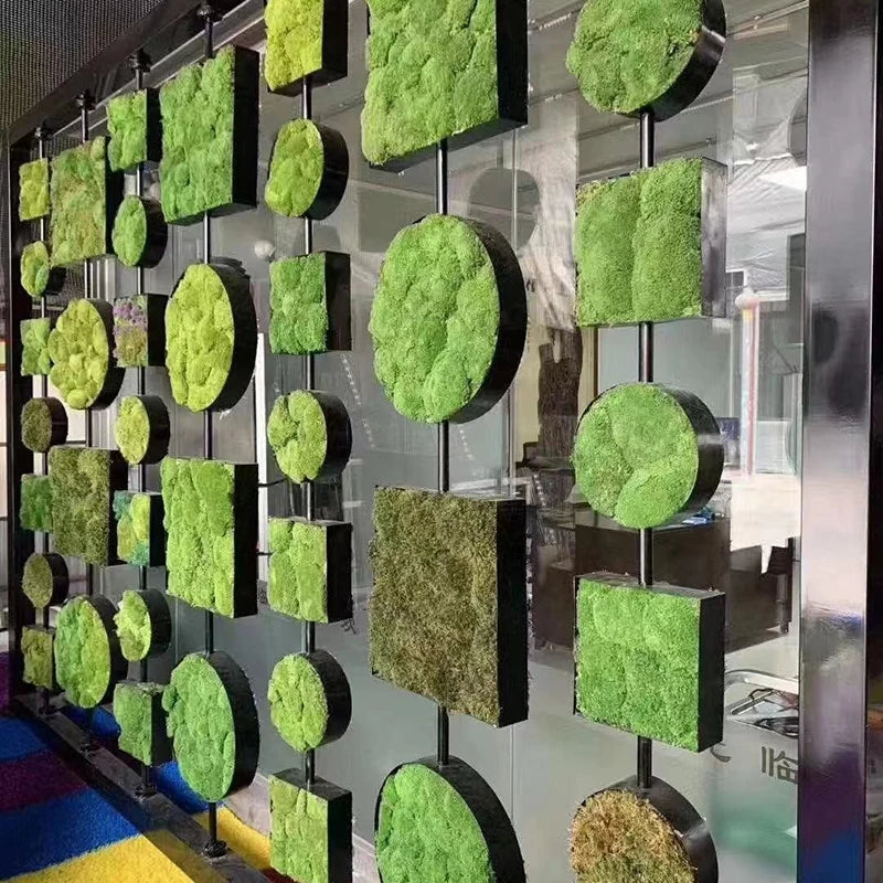 Artificial Immortal Moss Green for Home and Garden