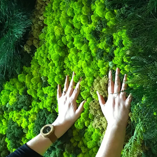 Artificial Immortal Moss Green for Home and Garden