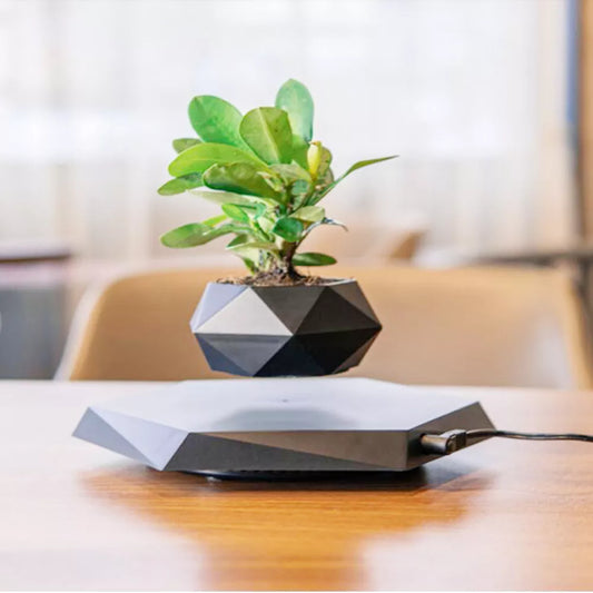 The Marvelous Levitating Air Bonsai Pot