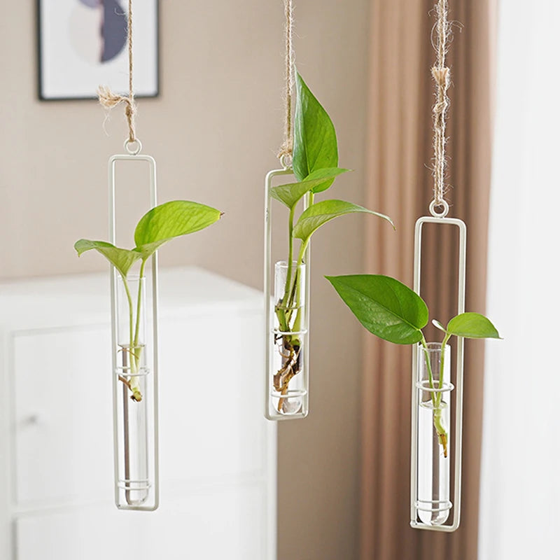 Test Tubes Glass Planter Nordic Decoration Home Flower Wall Vase Wall Hanging Planter Plant Clear Glass Container Bottle Vase