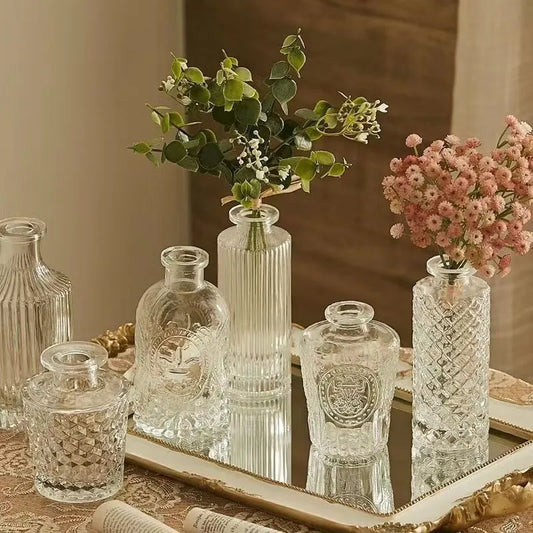 Transparent Glass Vase for Plant