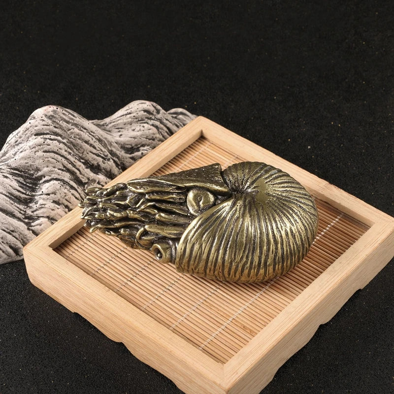 Brass Giant Nautilus Figurine