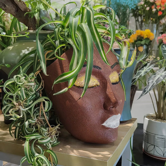 Wall-hanging Flower Pot featuring a Human Face Design
