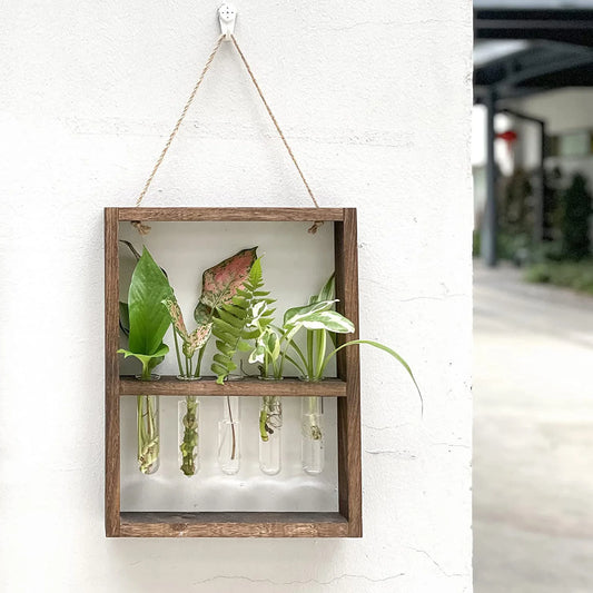 Test Tubes Glass Planter Wall Hanging Terrarium