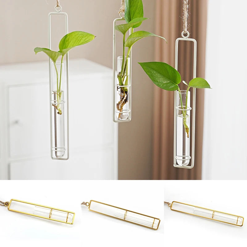 Test Tubes Glass Planter Nordic Decoration Home Flower Wall Vase Wall Hanging Planter Plant Clear Glass Container Bottle Vase